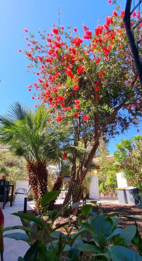 La Villetta Tre Palme Valledoria Kültér fotó