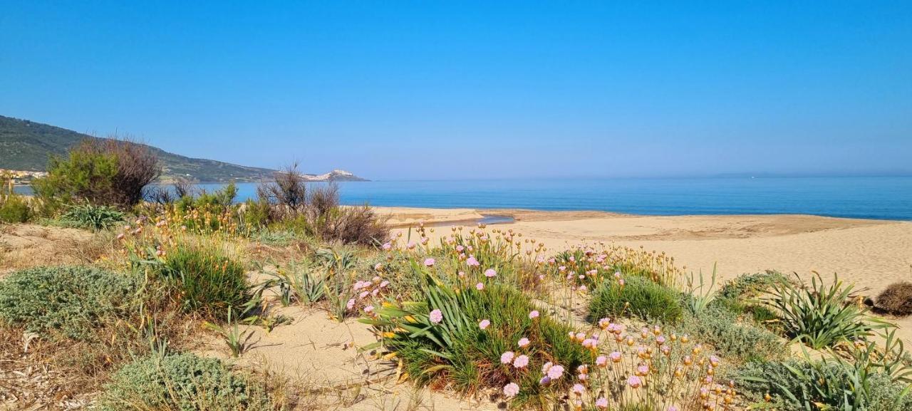 La Villetta Tre Palme Valledoria Kültér fotó
